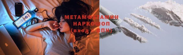 прущие грибы Гатчина