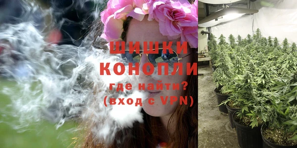 соль ск Осинники