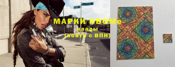 прущие грибы Гатчина