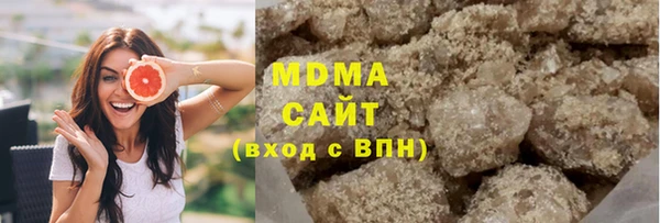 прущие грибы Гатчина
