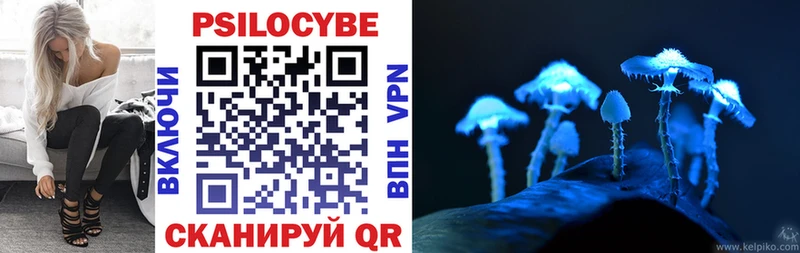 закладка  Усолье-Сибирское  Псилоцибиновые грибы Psilocybine cubensis 