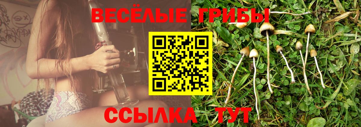 Усолье-Сибирское  Псилоцибиновые грибы мухоморы  даркнет сайт  Галлюциногенные грибы Cubensis  Вход с VPN 